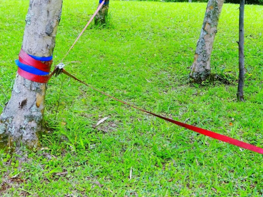 Använd trädskydd på känsliga träd när du monterar en slackline