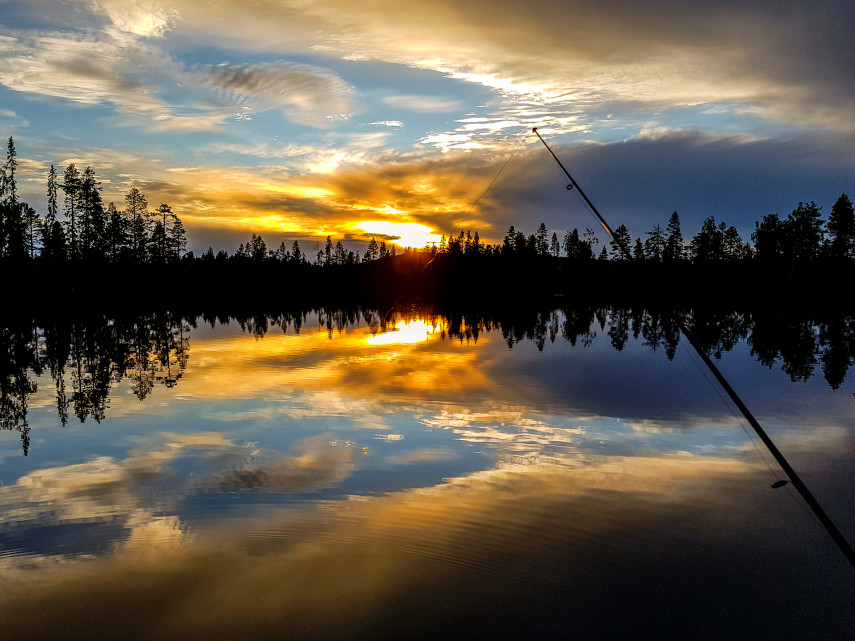Vacker solnedgång med fiskespö