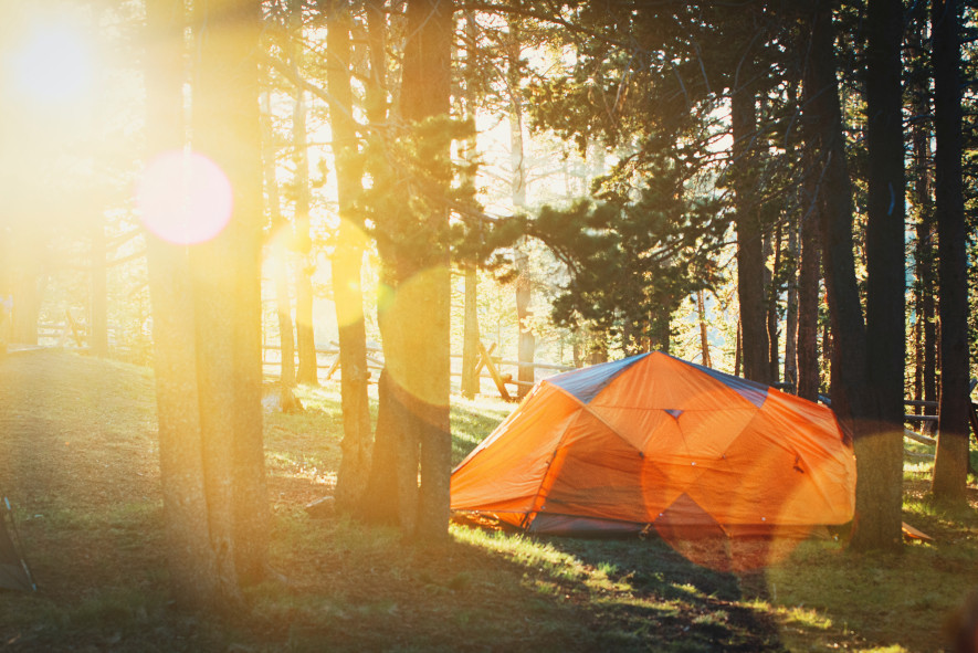 Stort tält för 4 personer i skogen